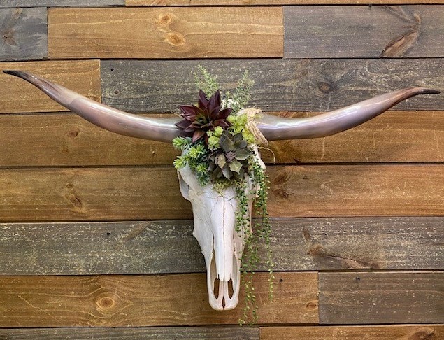 Muscadine Skull